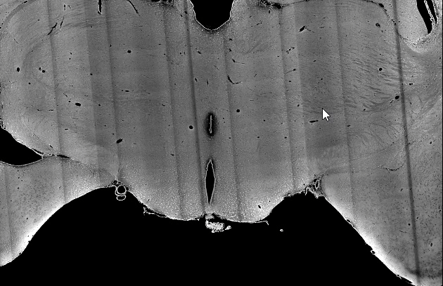 Card image cap